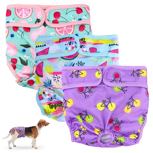 Lot couches pour chiennes - couches,